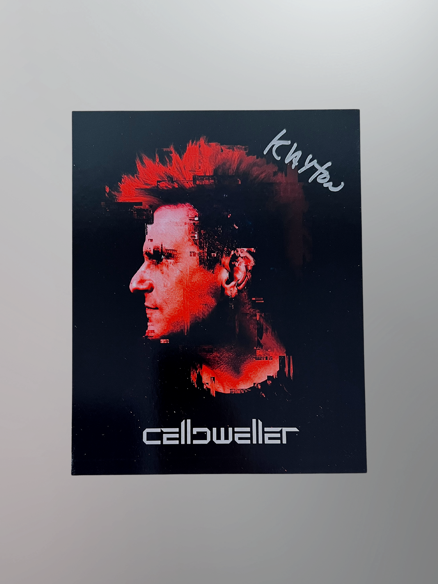 Celldweller - Autographed 8x10 Print